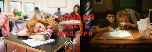прущий лед Козловка