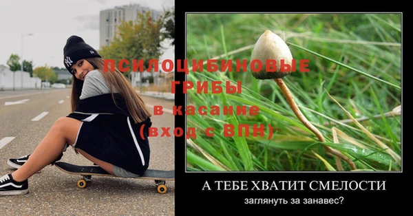 прущий лед Козловка
