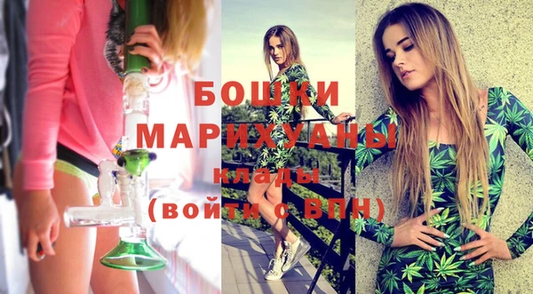 прущий лед Козловка