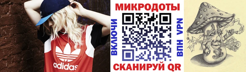 Купить где  Козловка  Галлюциногенные грибы GOLDEN TEACHER 